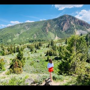 Meet your Posher, Taylor